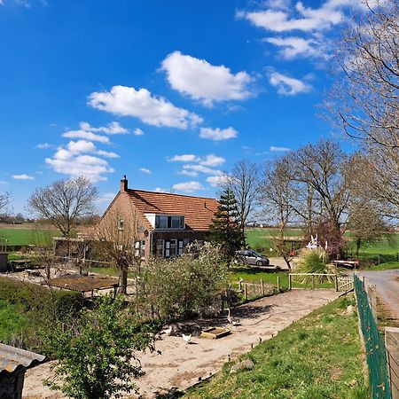 “In Oans Oefje” Parel In De Polder! Daire Lewedorp Dış mekan fotoğraf