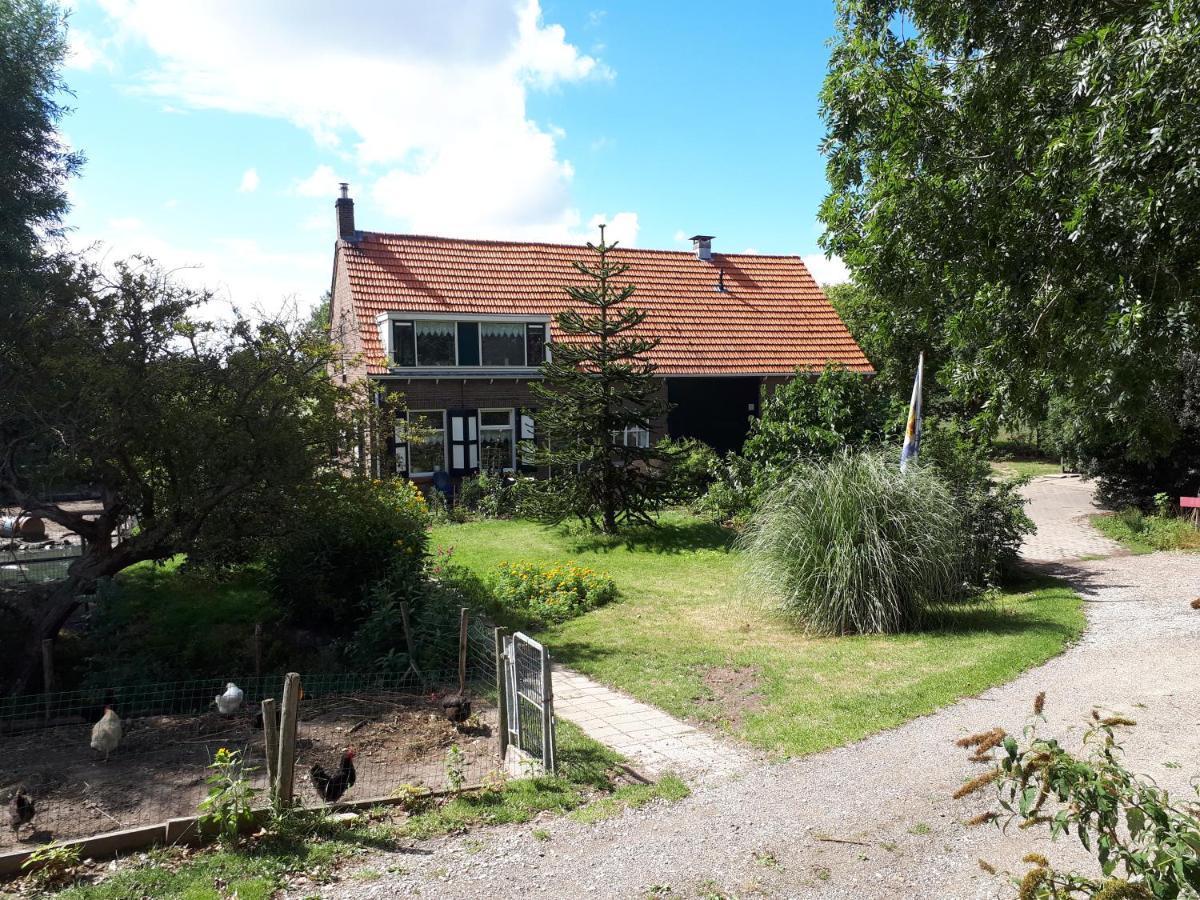 “In Oans Oefje” Parel In De Polder! Daire Lewedorp Dış mekan fotoğraf