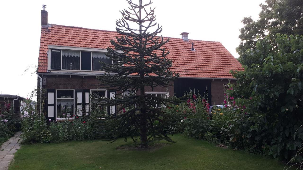 “In Oans Oefje” Parel In De Polder! Daire Lewedorp Dış mekan fotoğraf