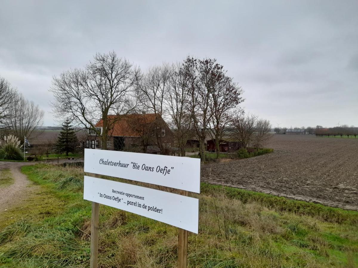 “In Oans Oefje” Parel In De Polder! Daire Lewedorp Dış mekan fotoğraf