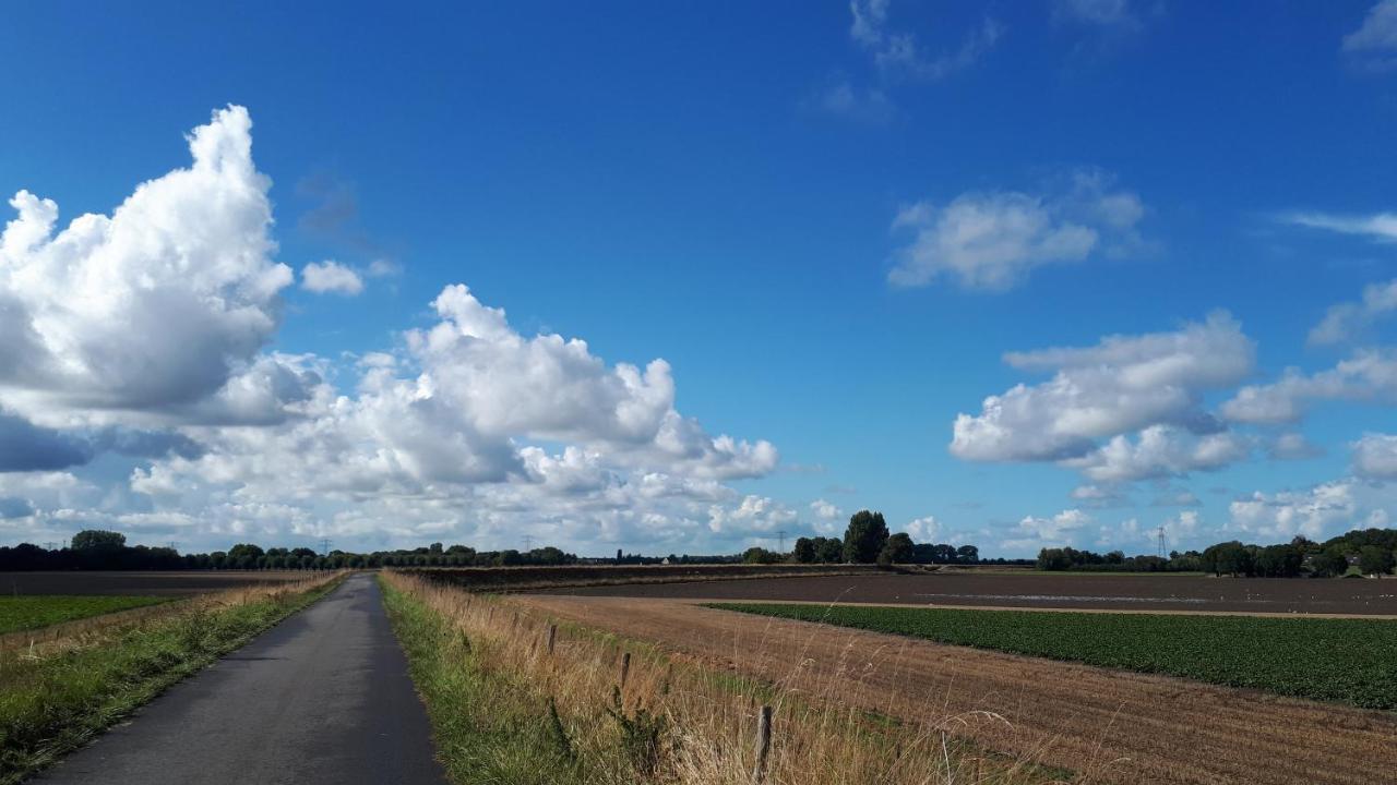“In Oans Oefje” Parel In De Polder! Daire Lewedorp Dış mekan fotoğraf