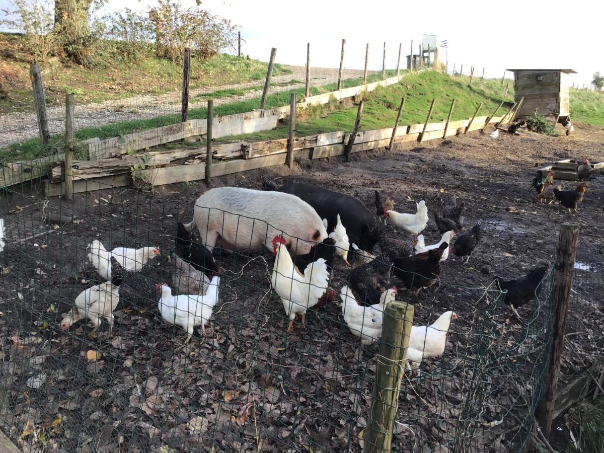 “In Oans Oefje” Parel In De Polder! Daire Lewedorp Dış mekan fotoğraf