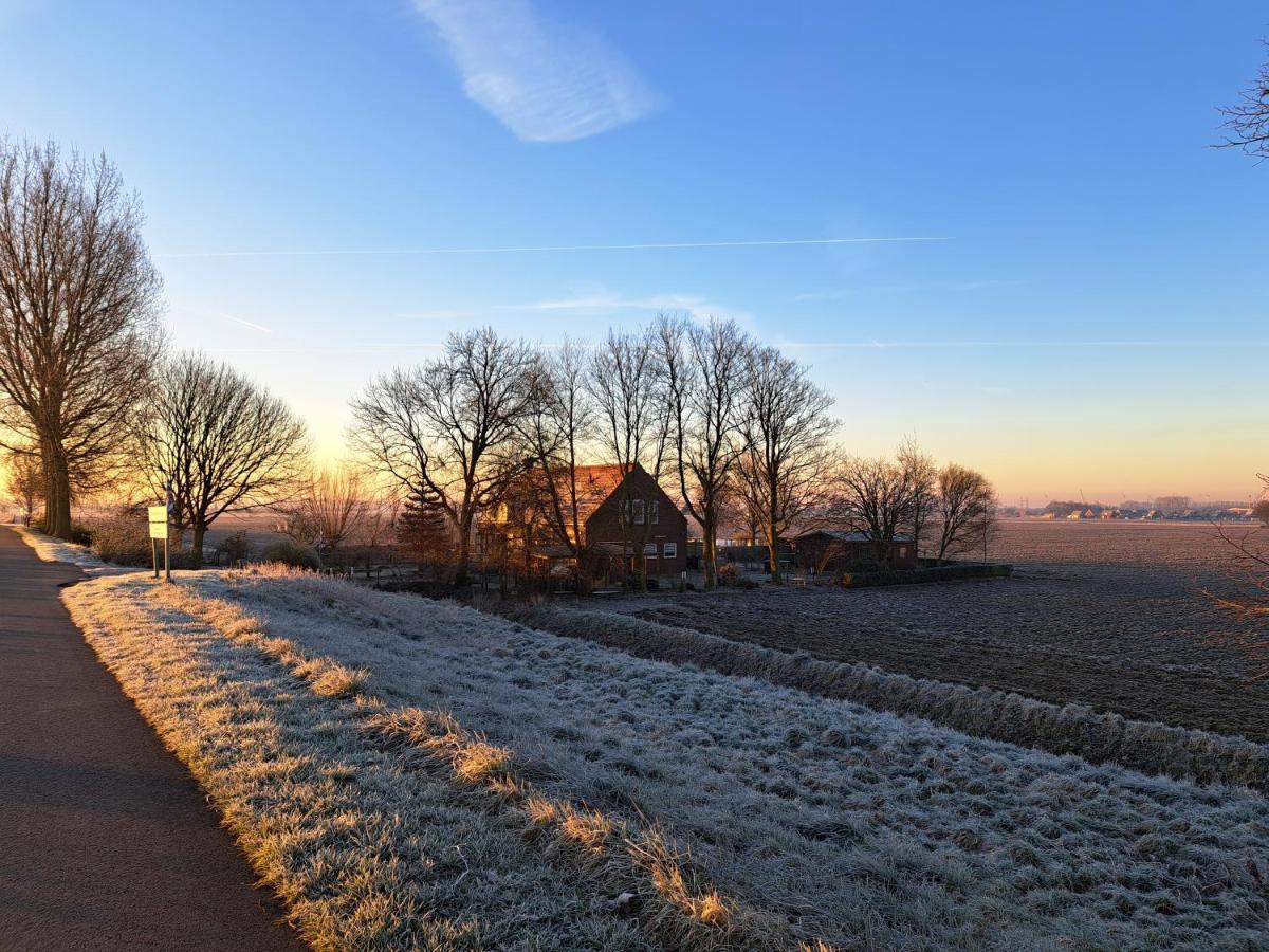 “In Oans Oefje” Parel In De Polder! Daire Lewedorp Dış mekan fotoğraf