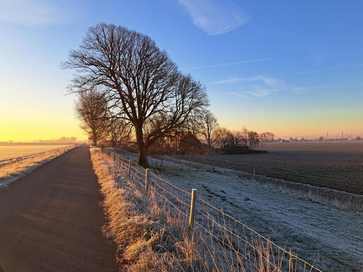 “In Oans Oefje” Parel In De Polder! Daire Lewedorp Dış mekan fotoğraf